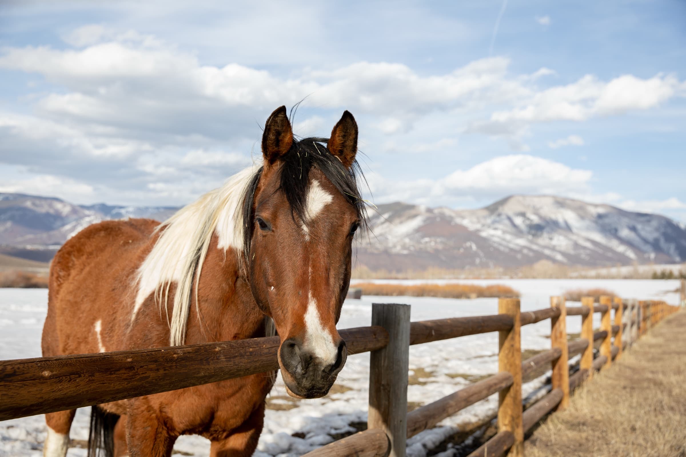 Fotografía de Irene Torres, hecha en Colorado