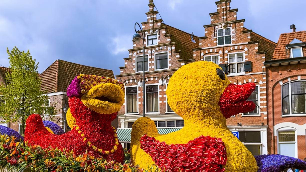 Carroza floral con casas holandesas de fondo
