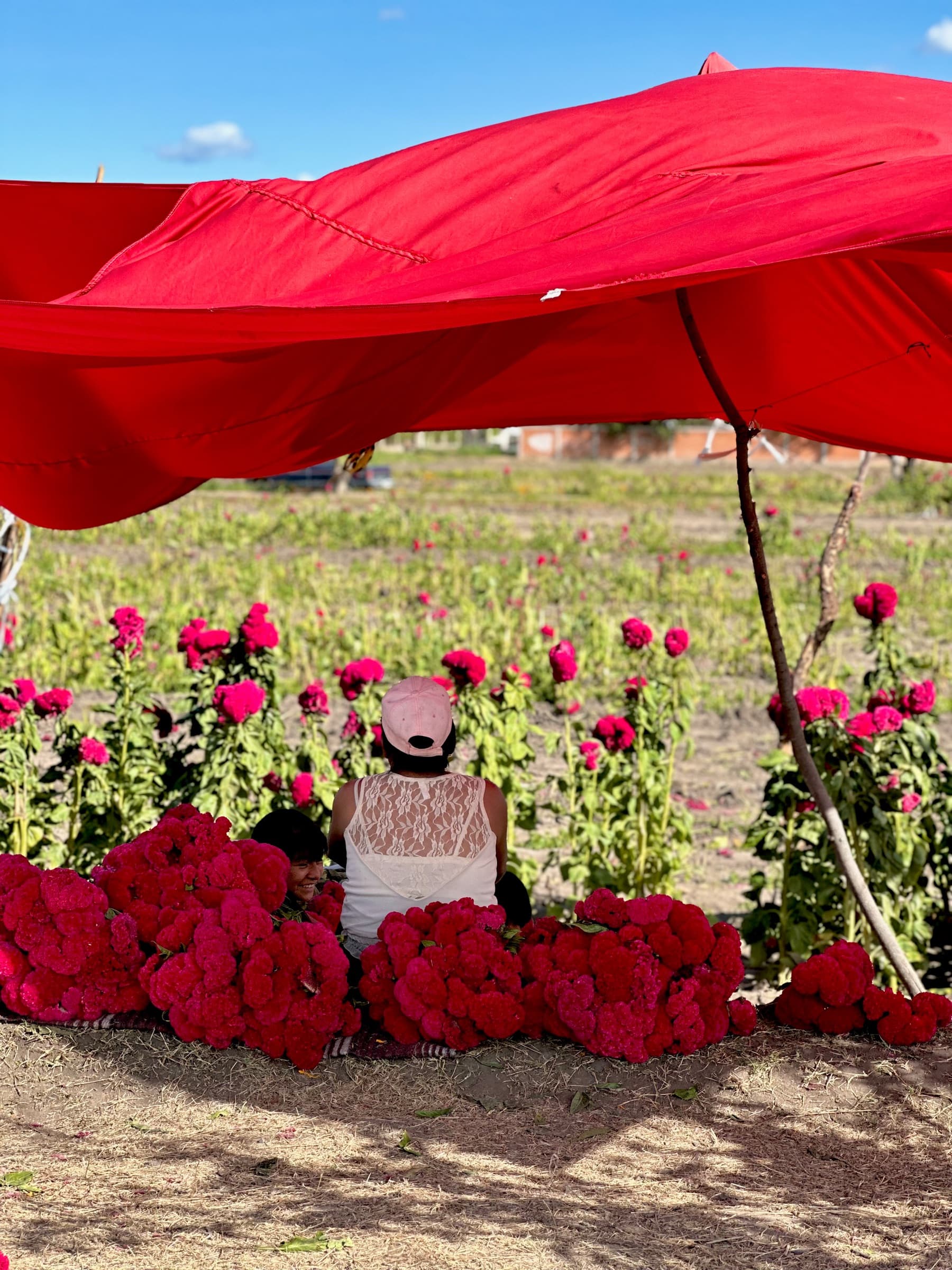 Fotografía de Imary, hecha en Ciudad de México