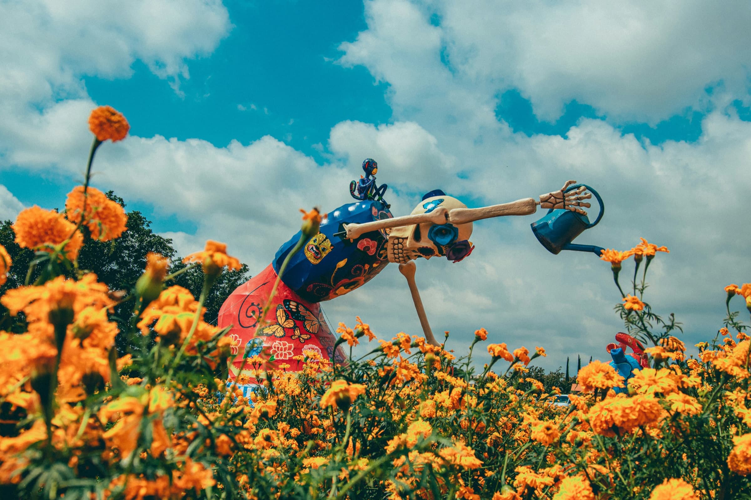 Oaxaca, la fotografía de apertura del viaje