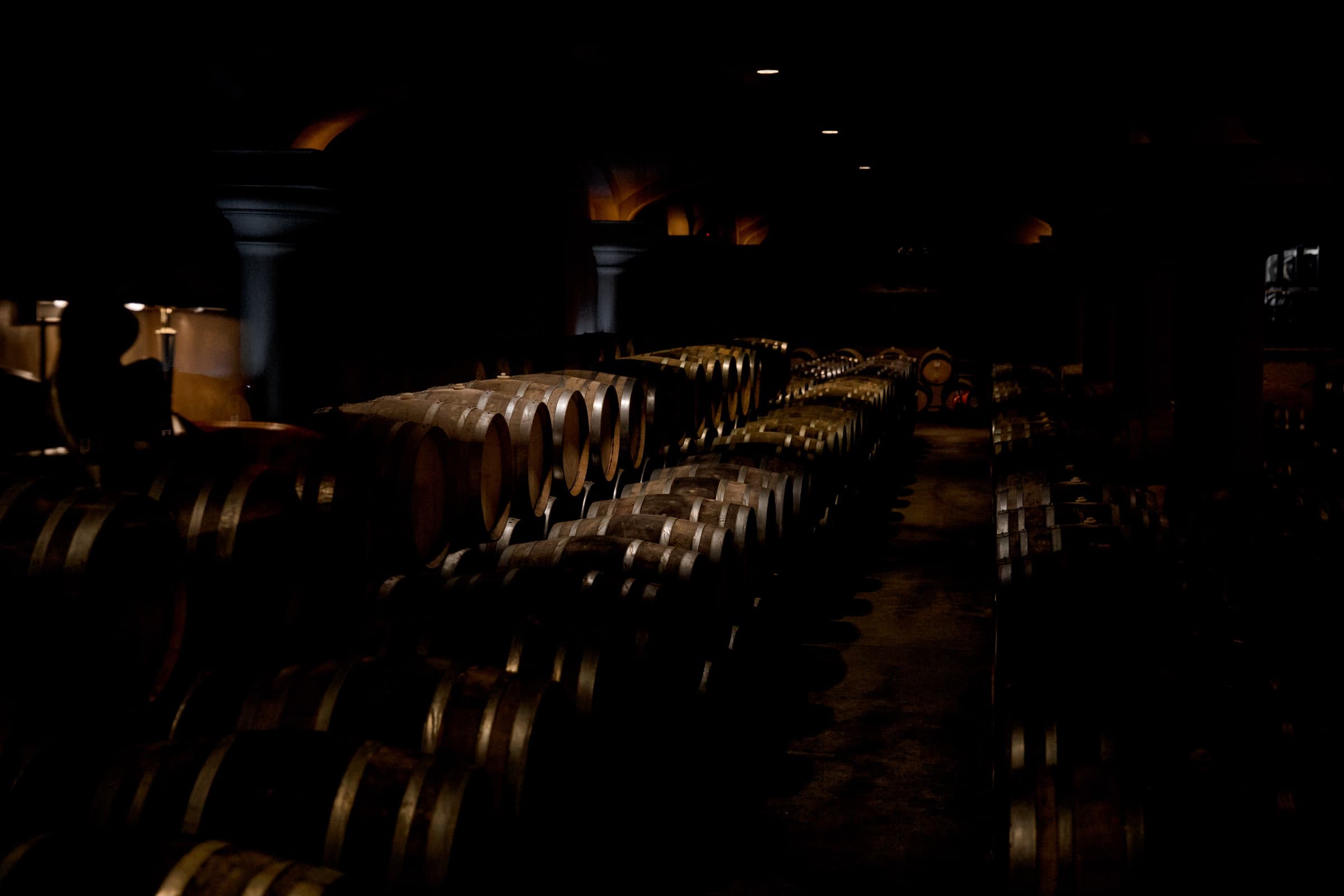 Fotografía de Carla Morales, hecha en Napa Valley