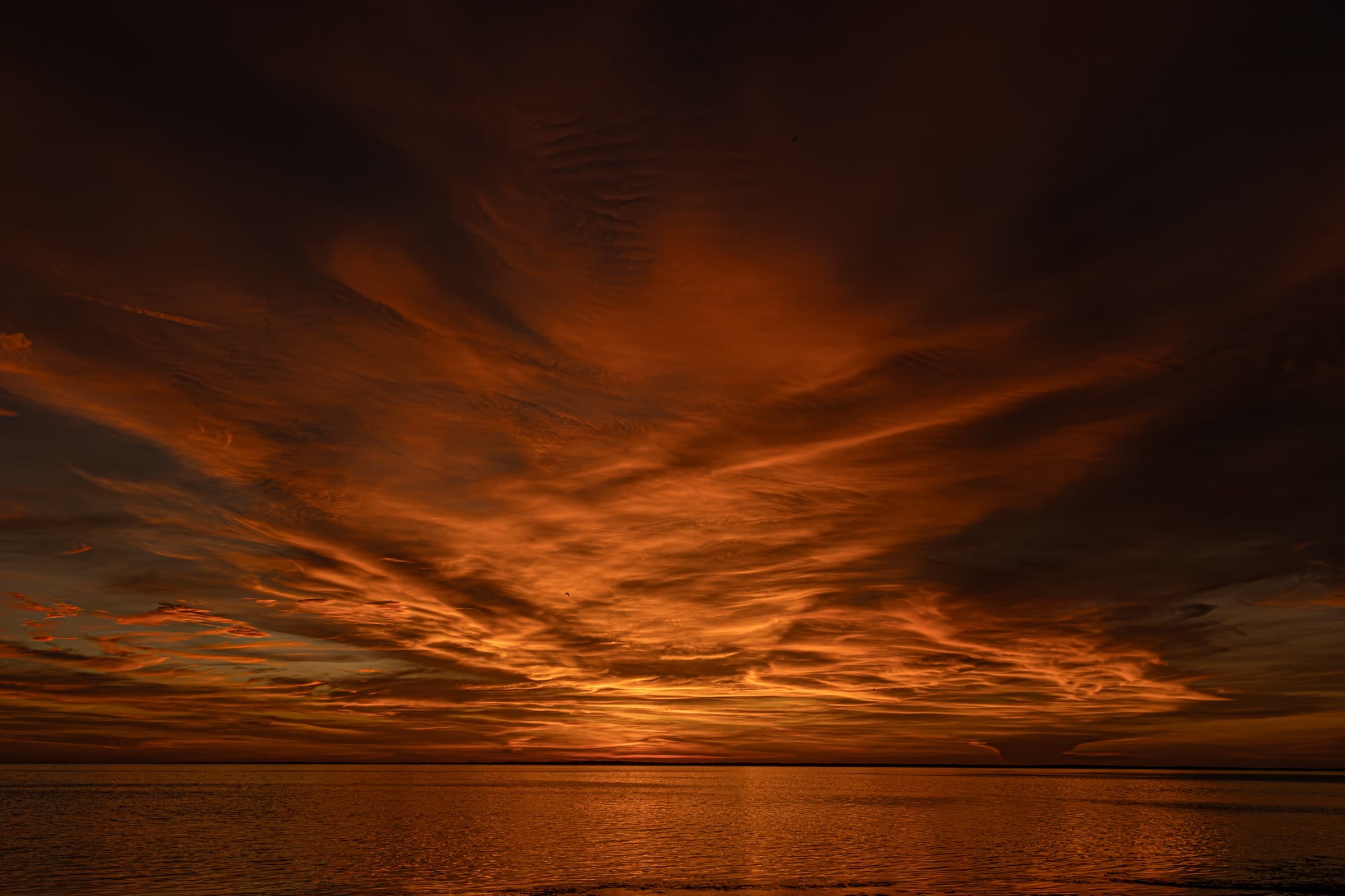 Fotografía de Juano, hecha en Tarpon Springs