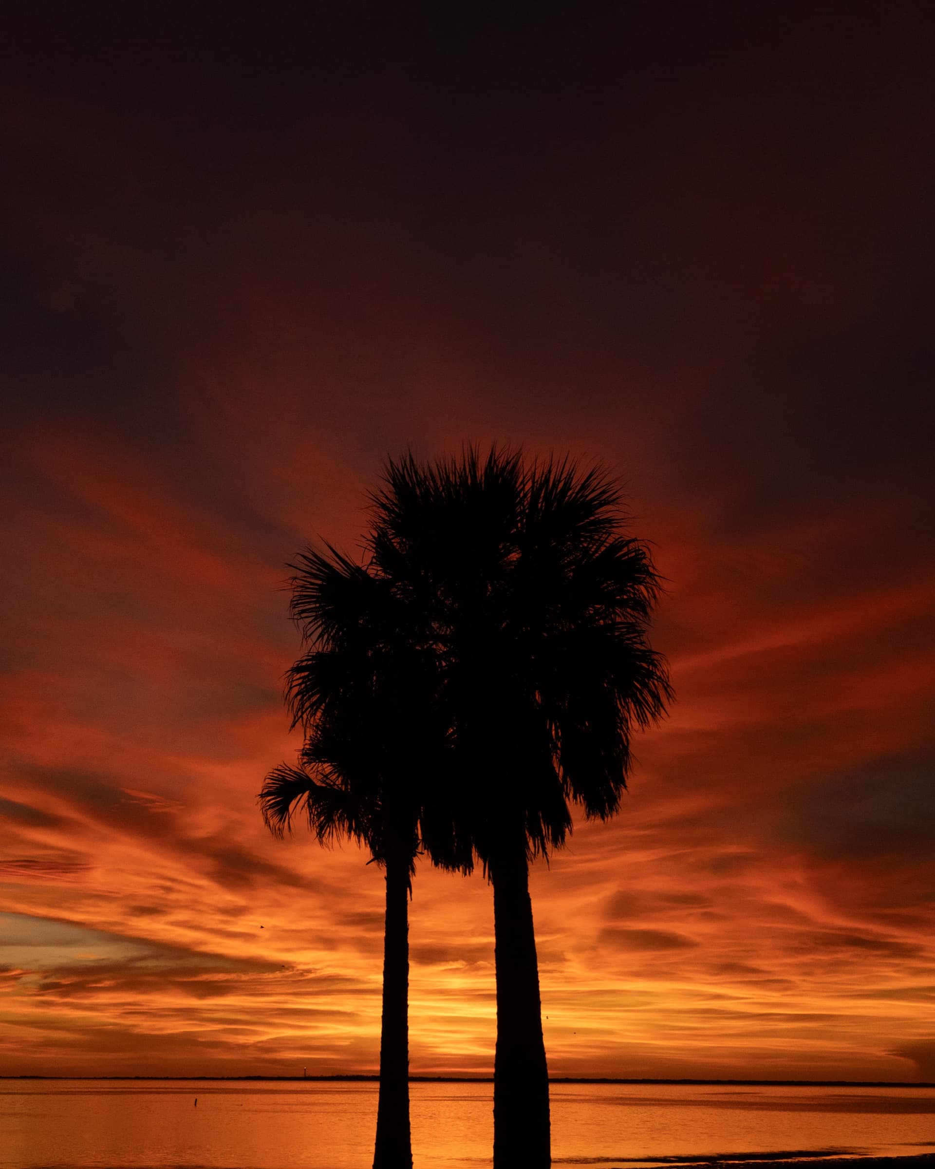 Fotografía de Juano, hecha en Tarpon Springs
