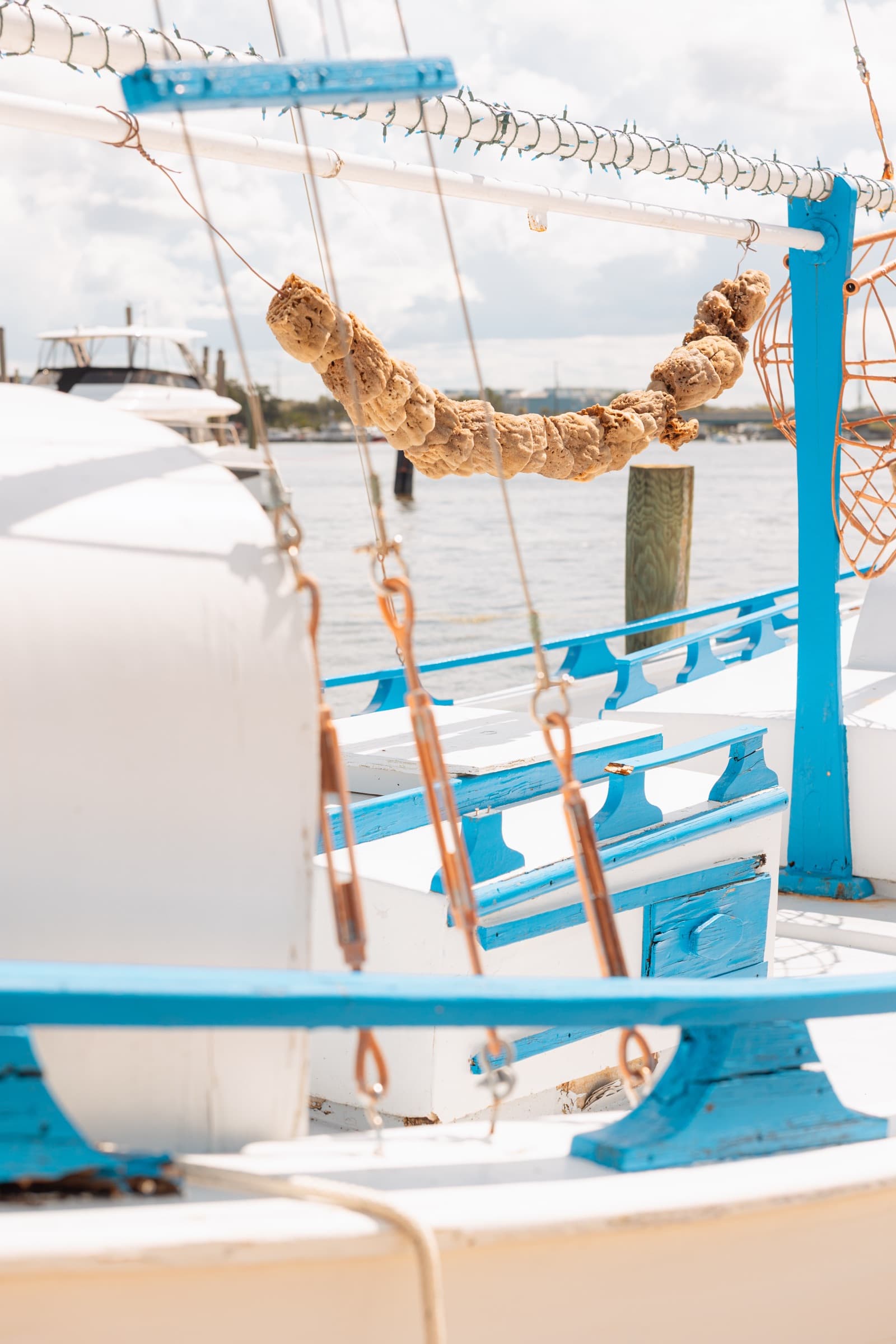 Fotografía de Juano, hecha en Tarpon Springs