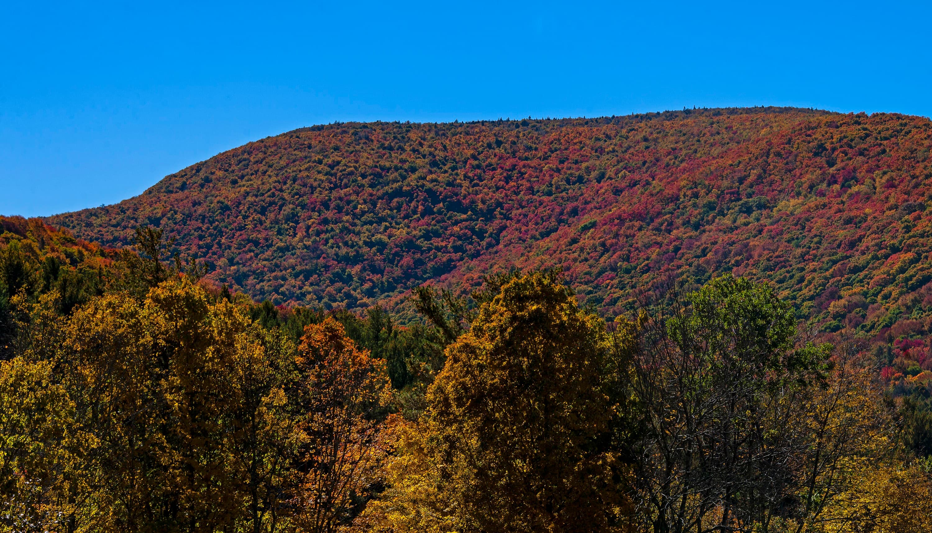 Montaña cubierta de follaje de otoño en las Catskills, Nueva York