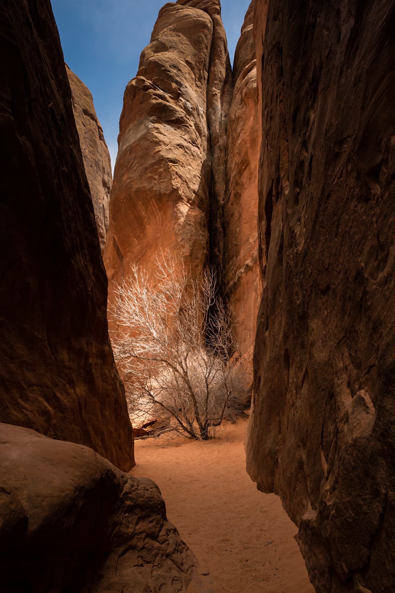 Fotografía de Marlene Santaella, hecha en Utah