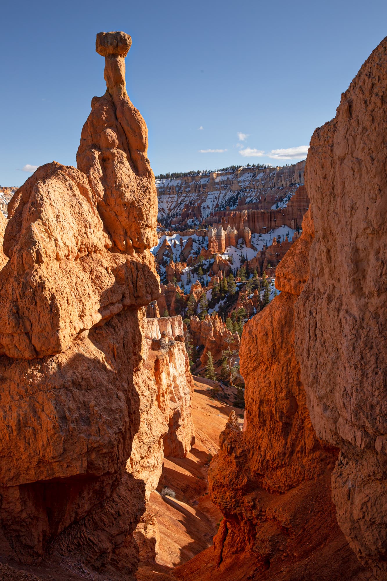 Fotografía de Marlene Santaella, hecha en Utah