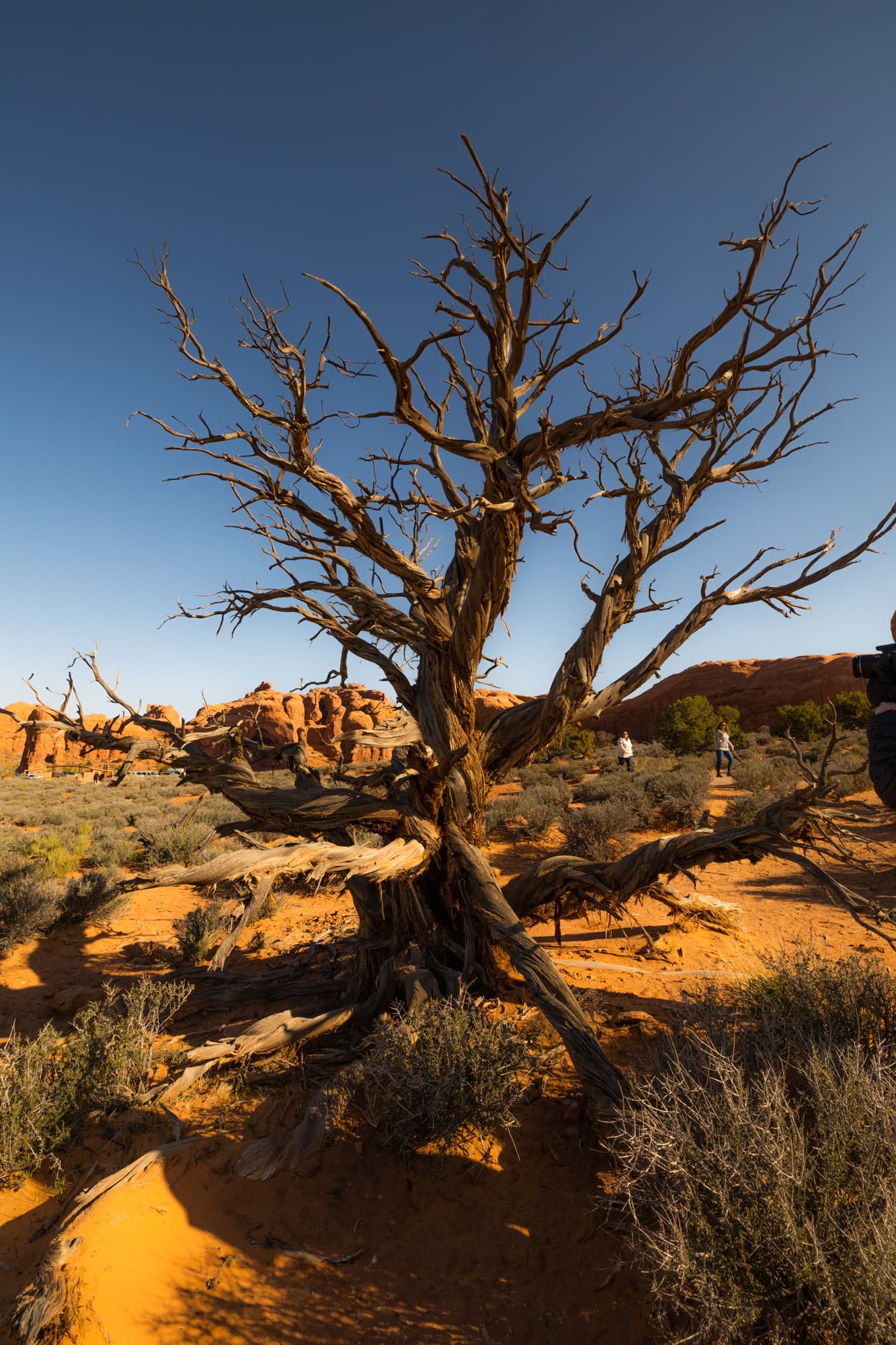 Fotografía de Malu Mazza, hecha en Utah