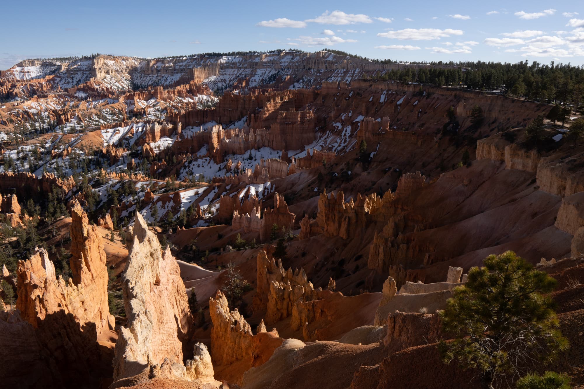 Fotografía de Anneke Schnell, hecha en Utah