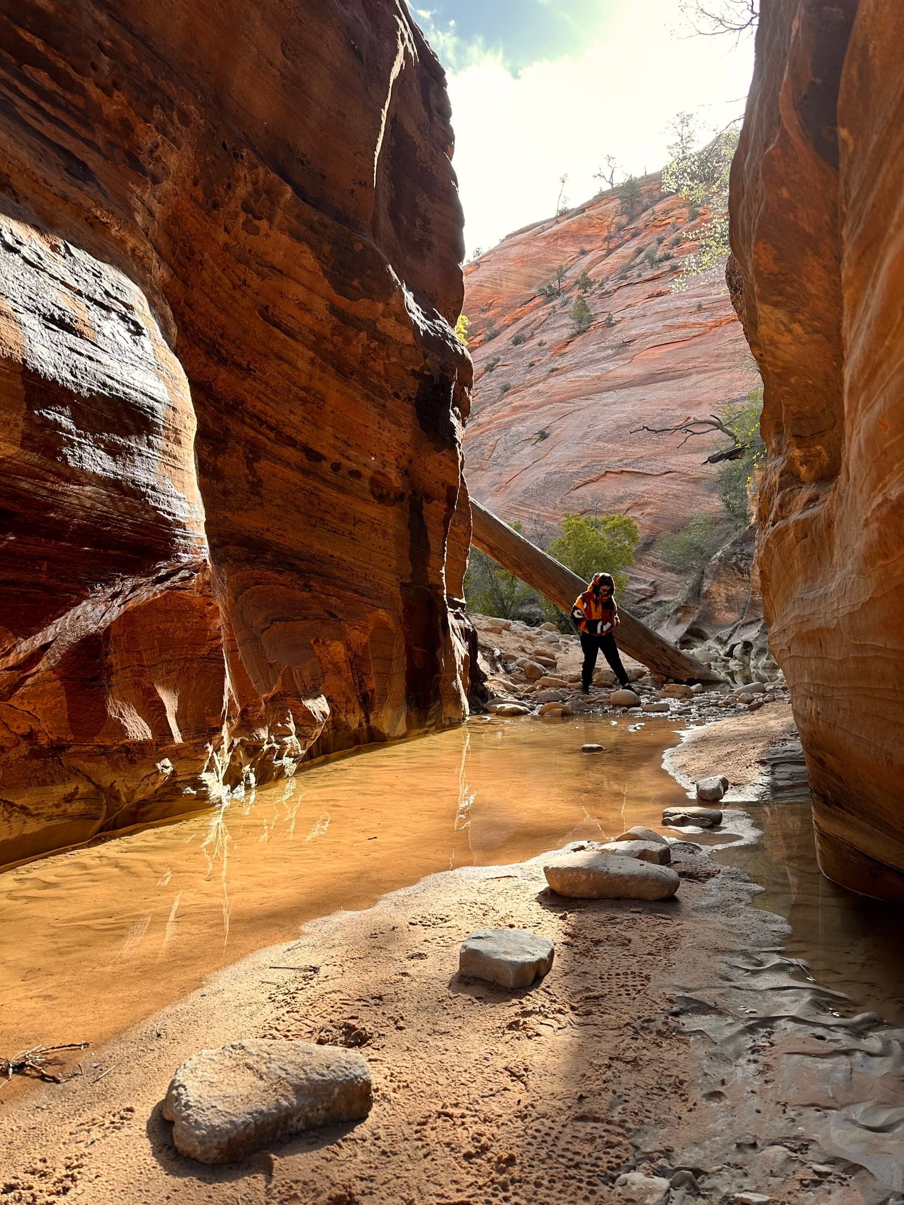 El grupo con las cámaras en Utah