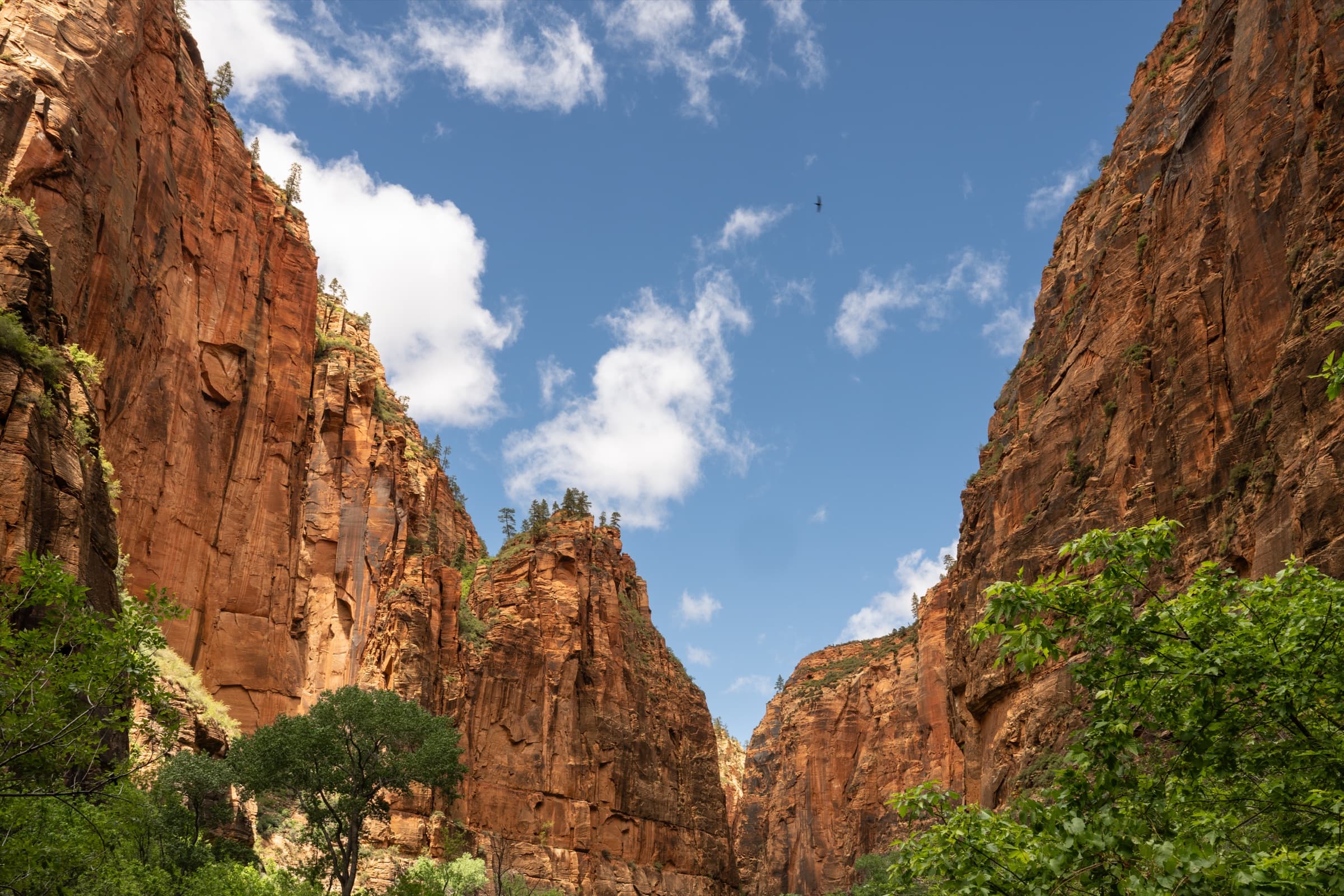 Fotografía de Iza Galarraga, hecha en Utah