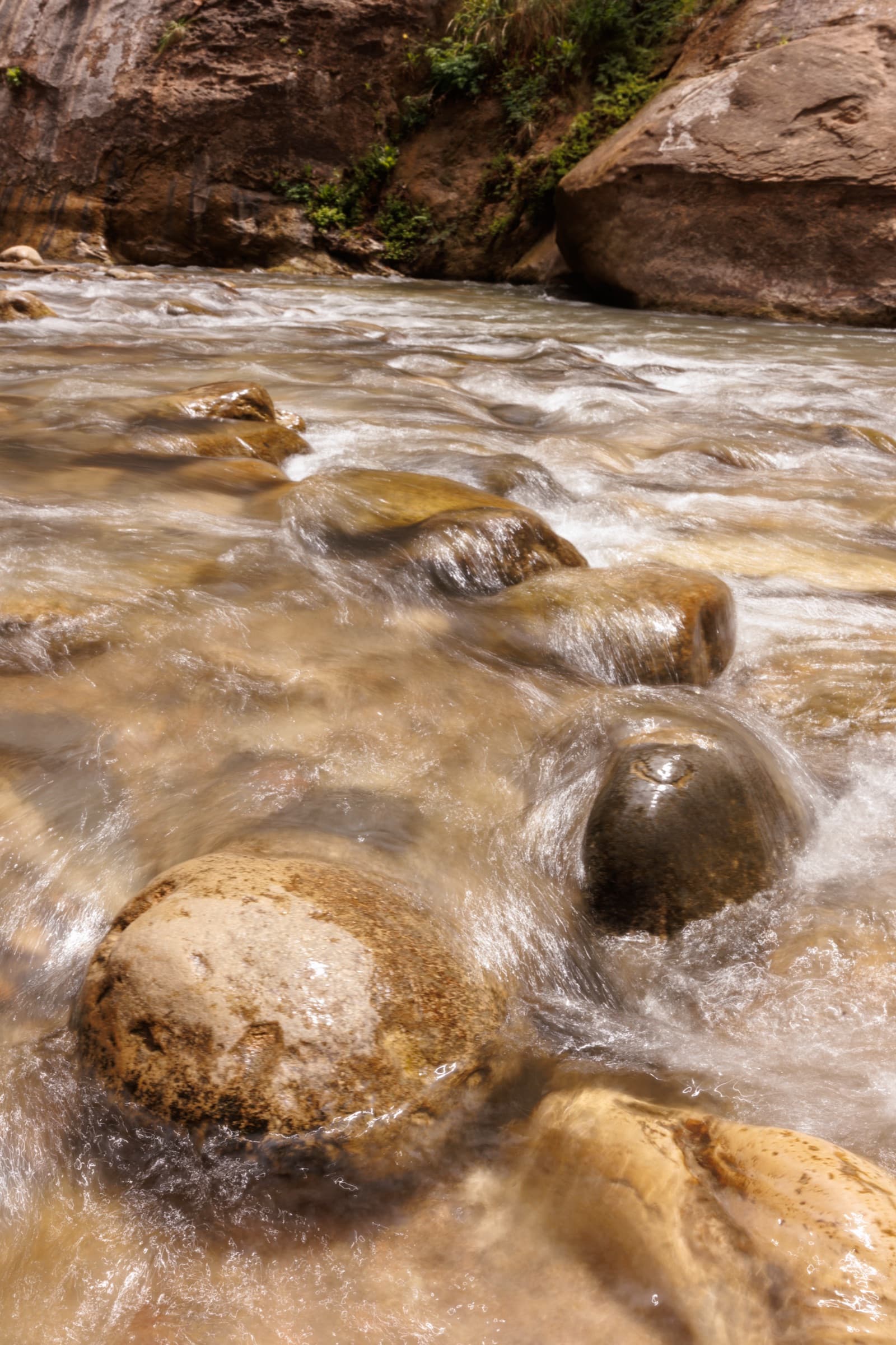 Fotografía de Leslie Fuentes, hecha en Utah