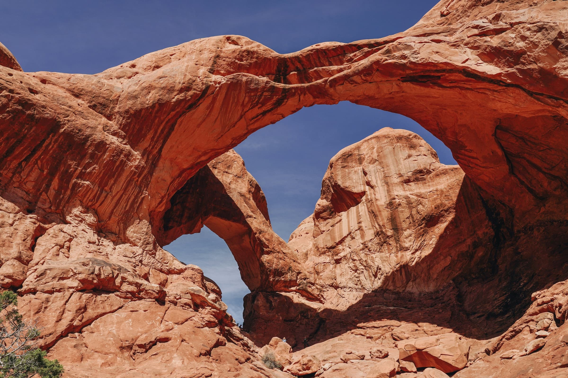El grupo con las cámaras en Utah