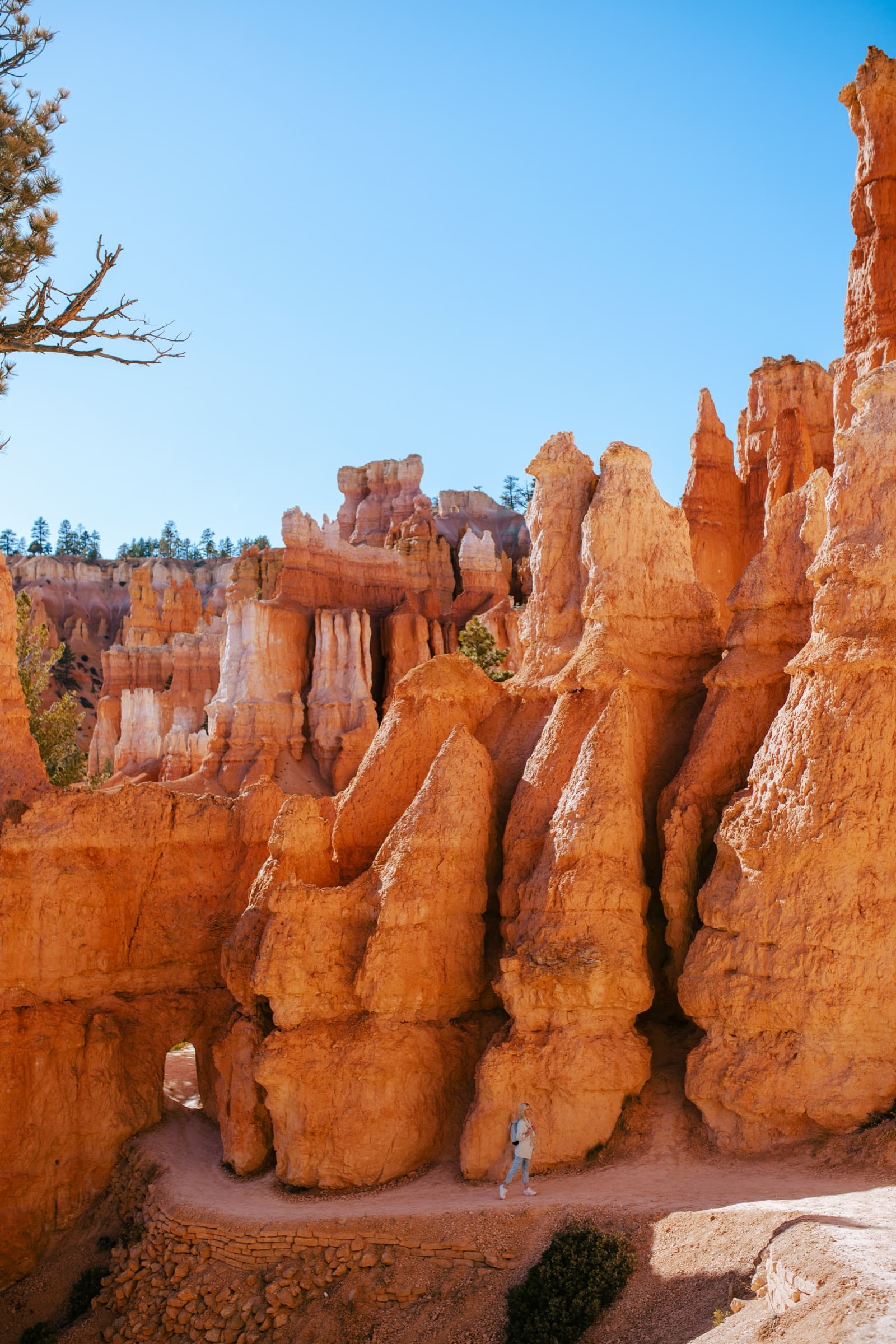 El grupo con las cámaras en Utah