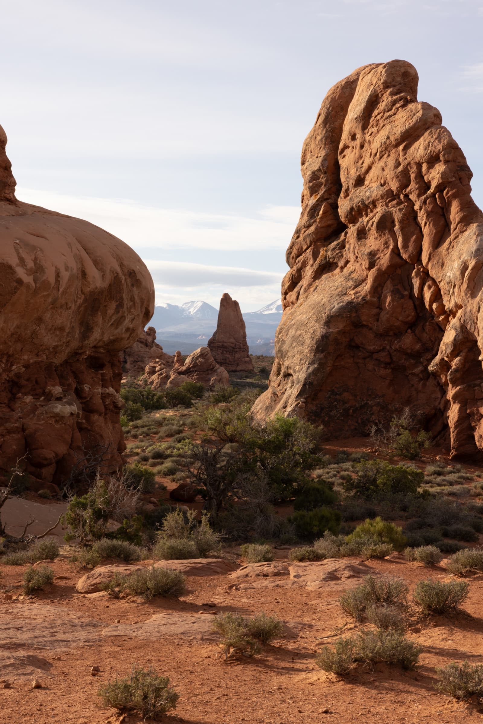 Fotografía de Maura Morandi, hecha en Utah