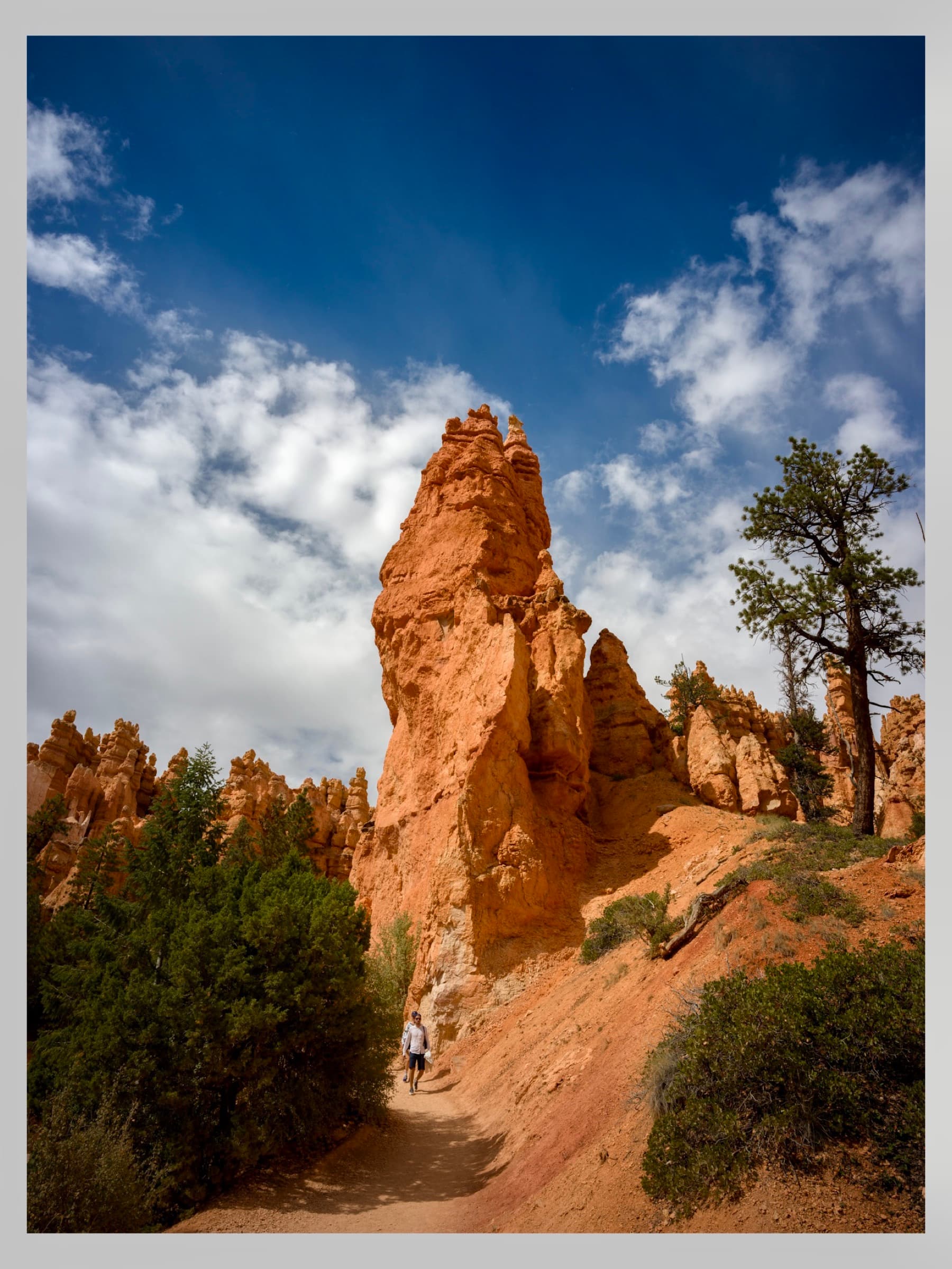 Fotografía de Guillermo Aldana, hecha en Utah