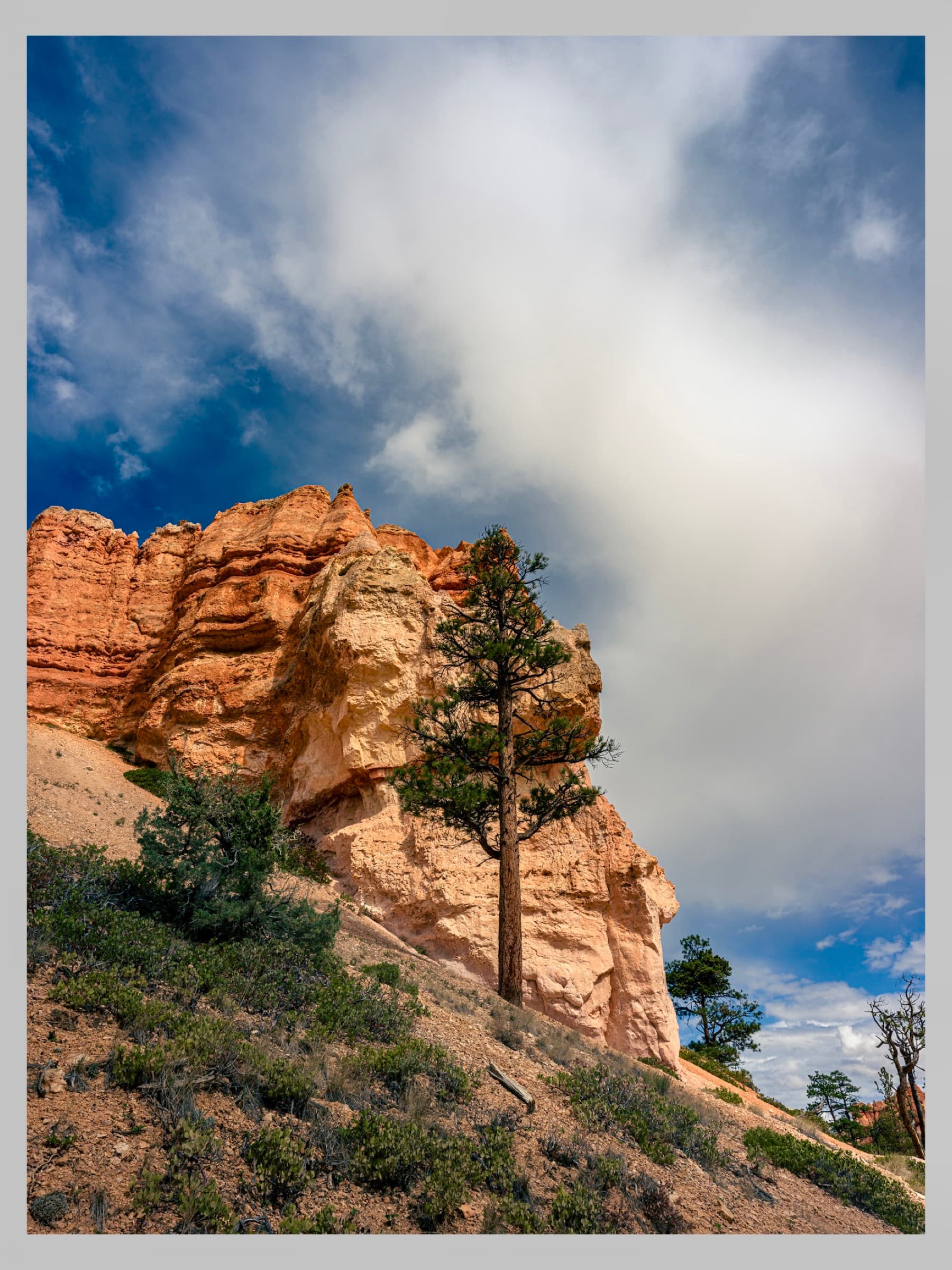 Fotografía de Guillermo Aldana, hecha en Utah