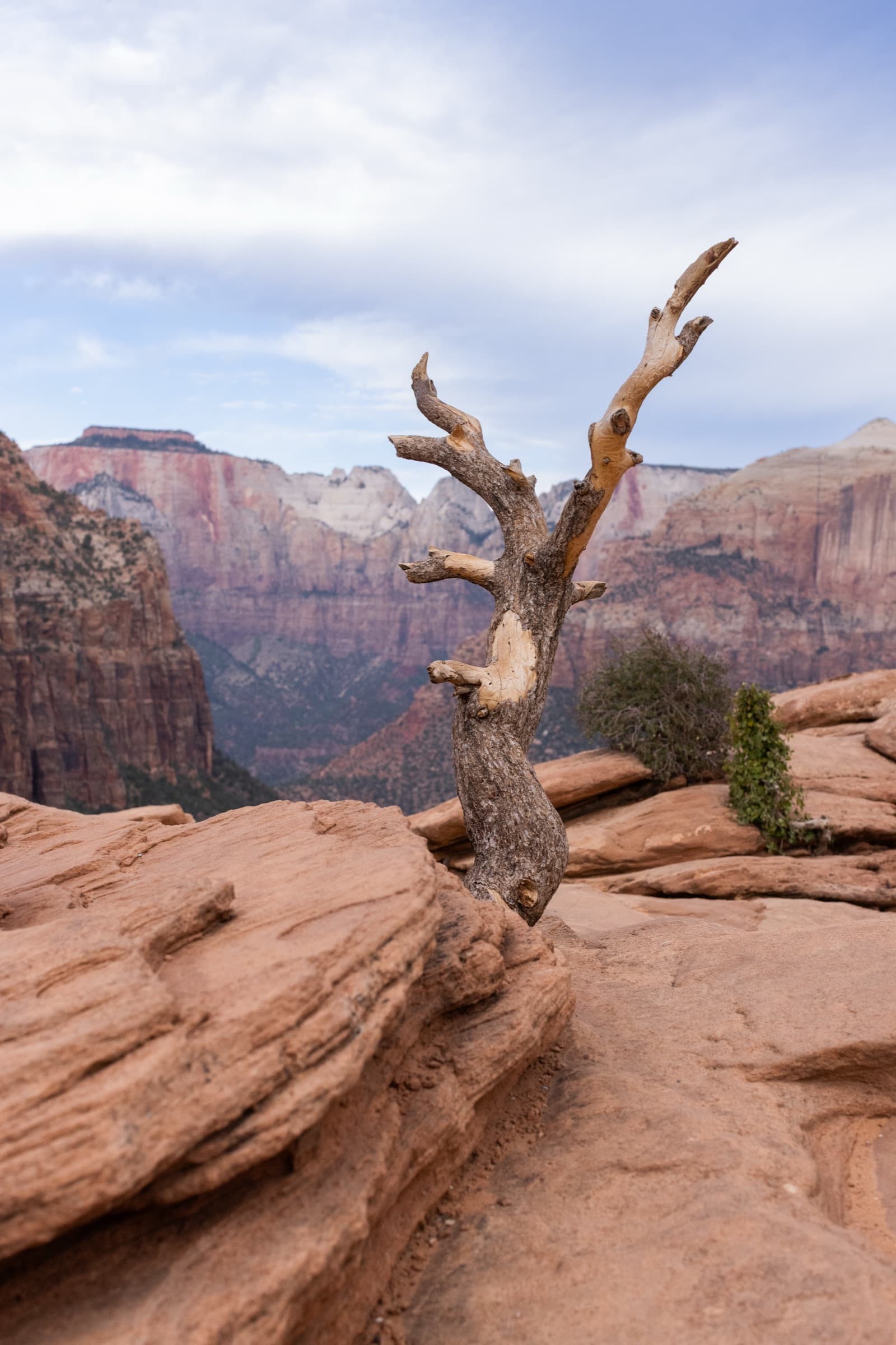 Fotografía de Patricia Franco, hecha en Utah