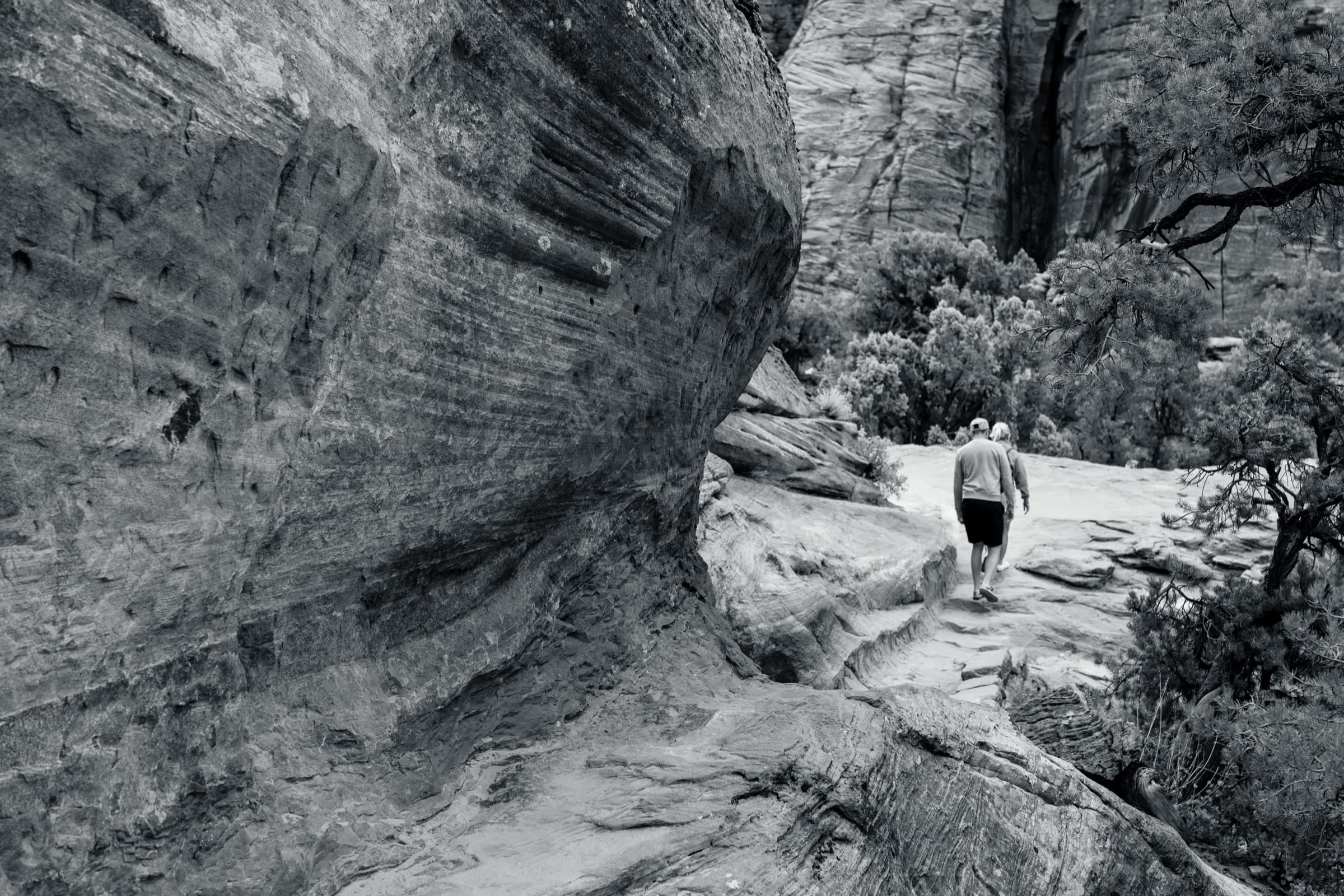 Fotografía de Patricia Franco, hecha en Utah