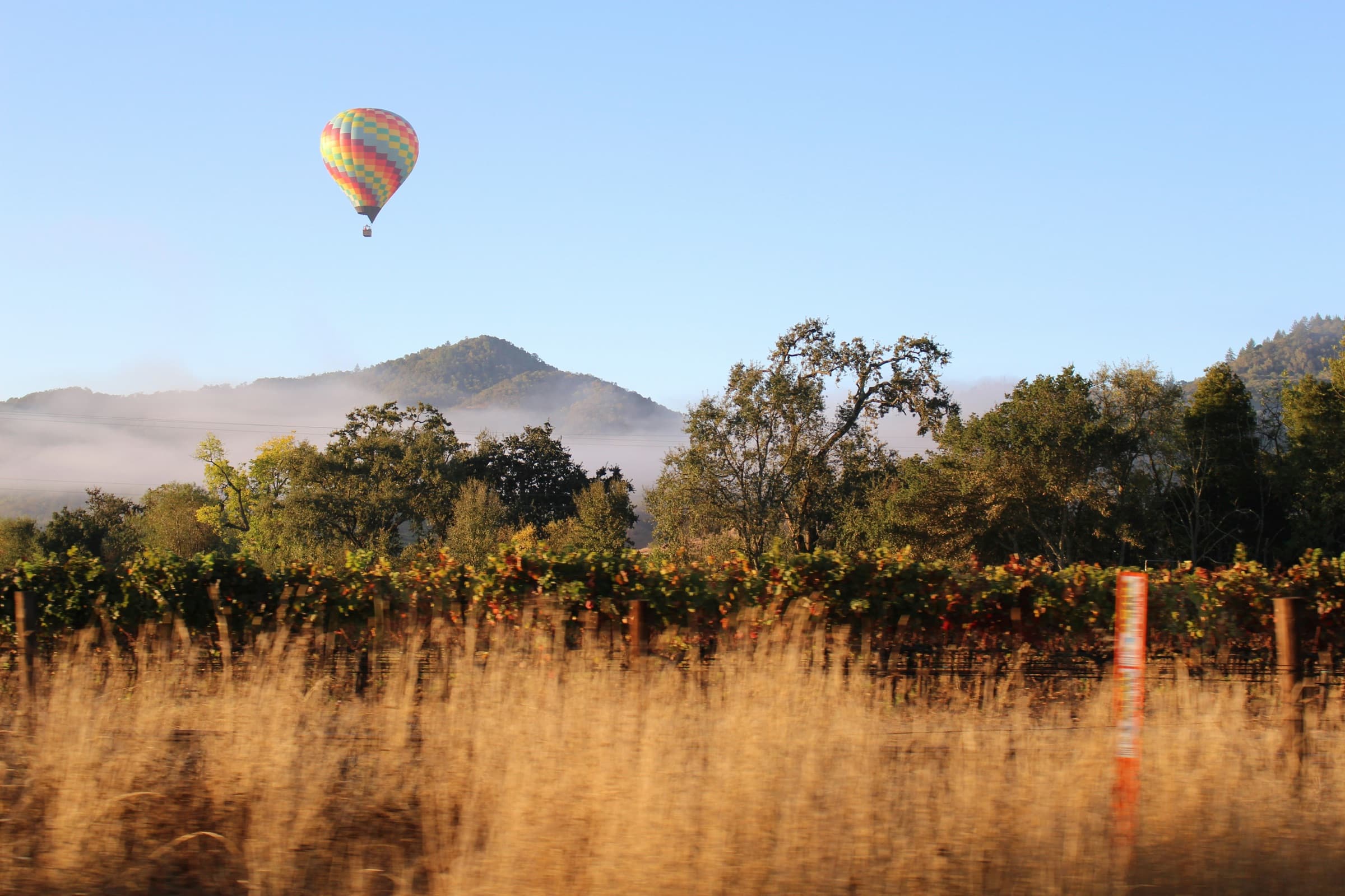 Napa Valley, la fotografía de apertura del viaje