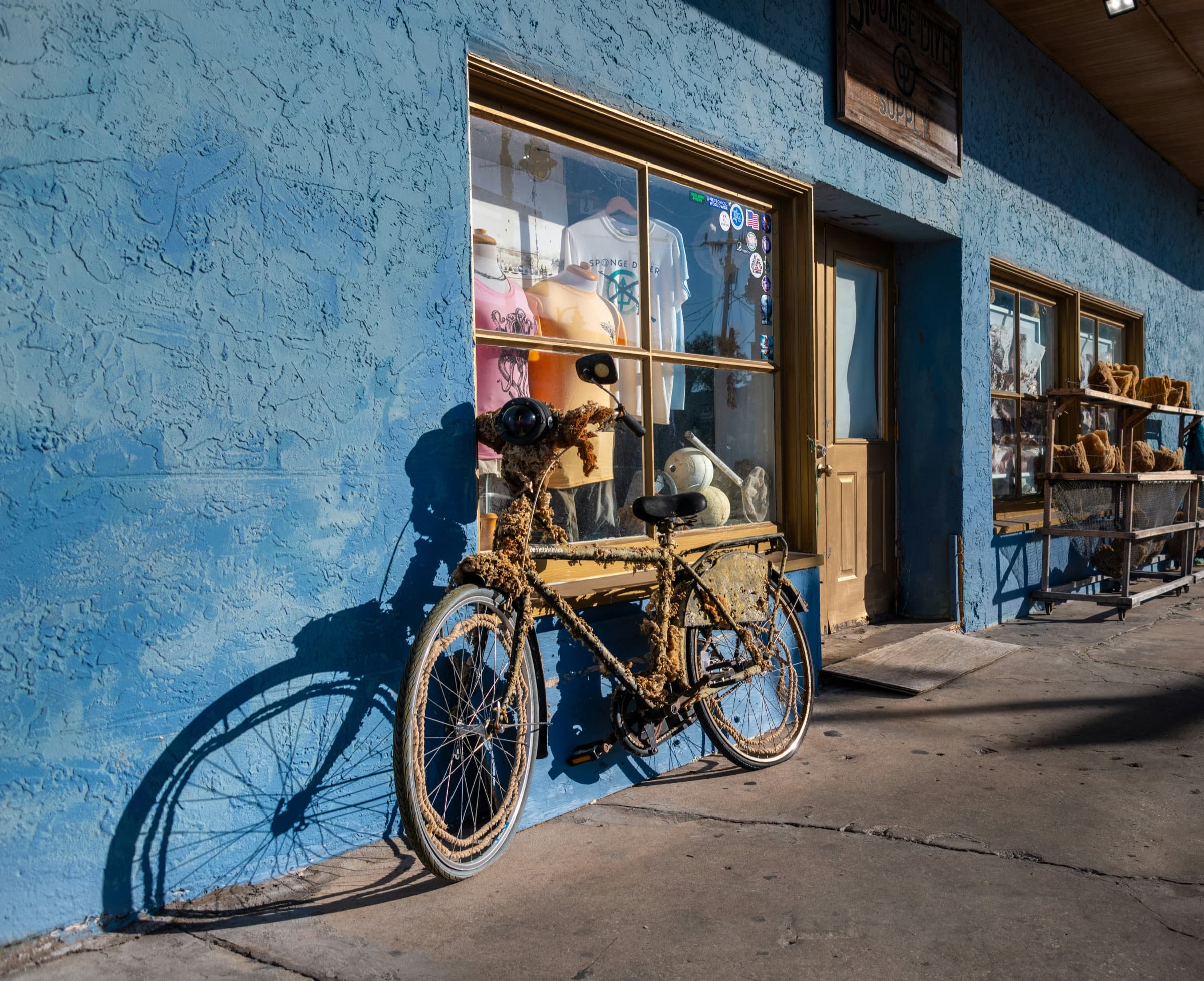 Tarpon Springs, la fotografía de apertura del viaje