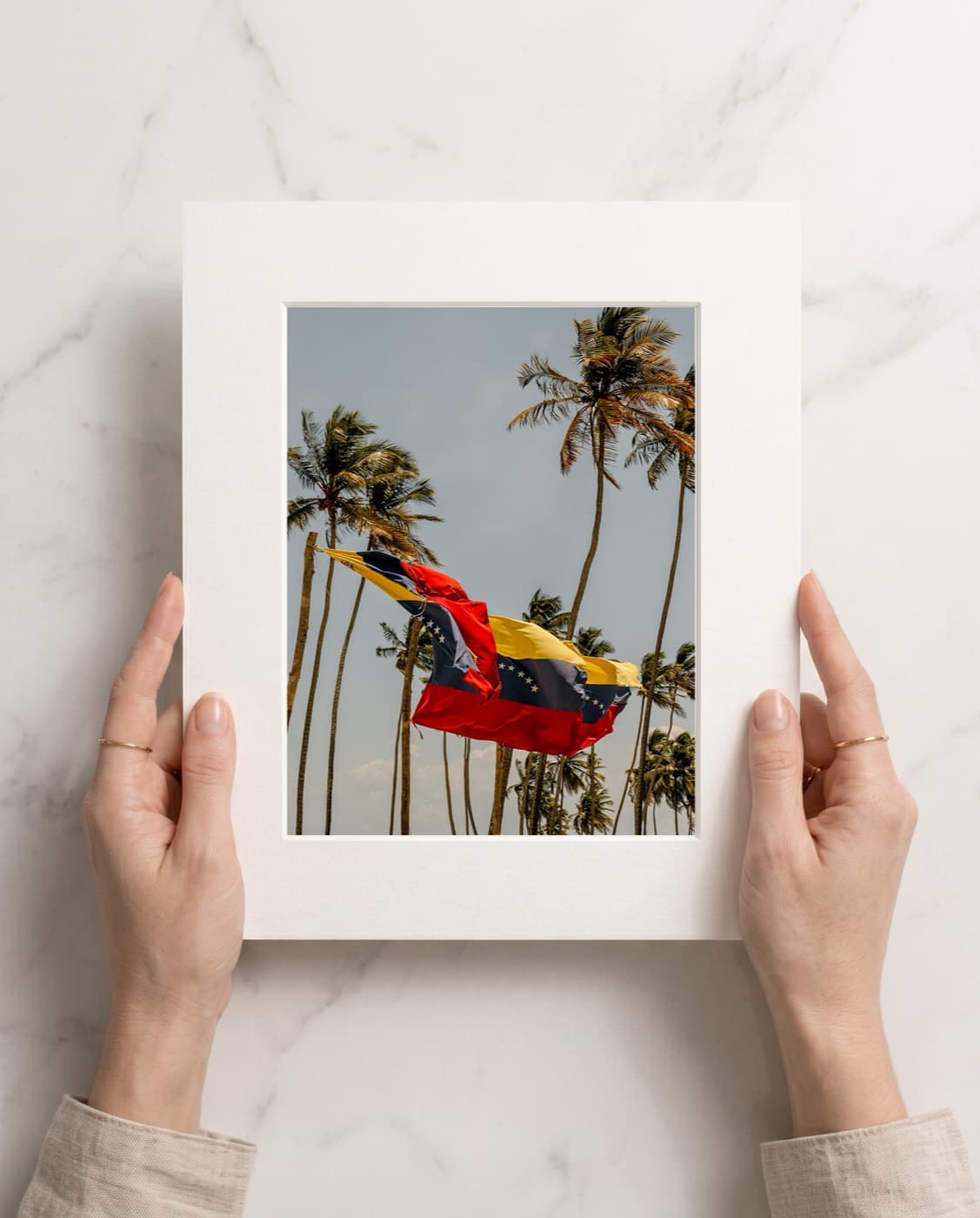 La Bandera Entre Palmeras, montada a 8×10 in