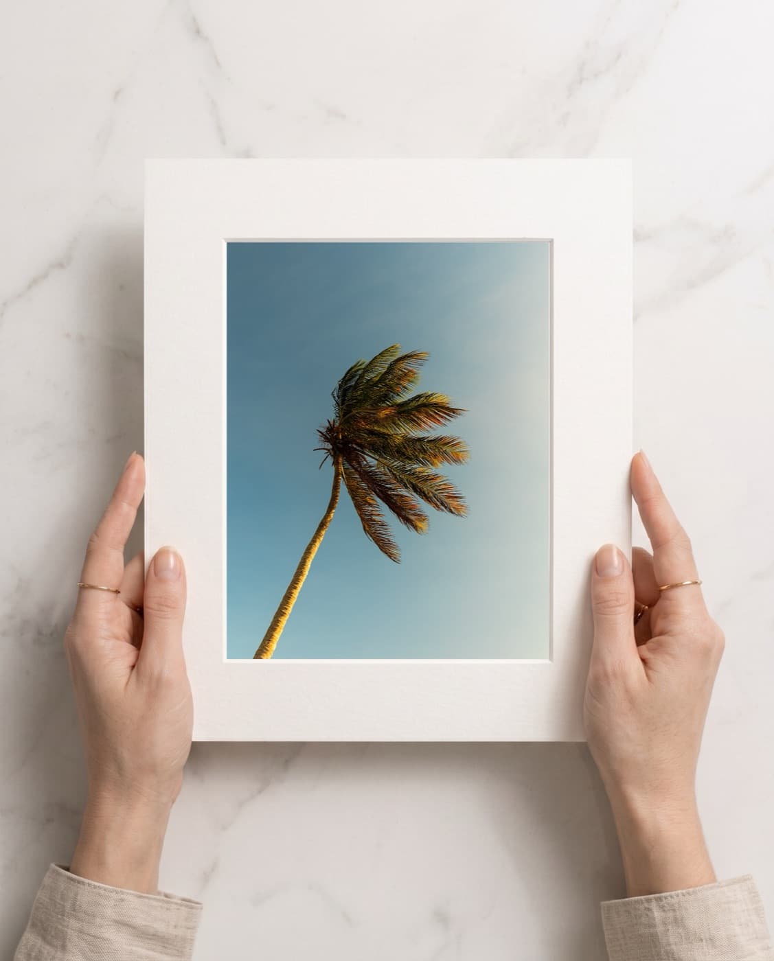Viento en Tucacas, montada a 8×10 in